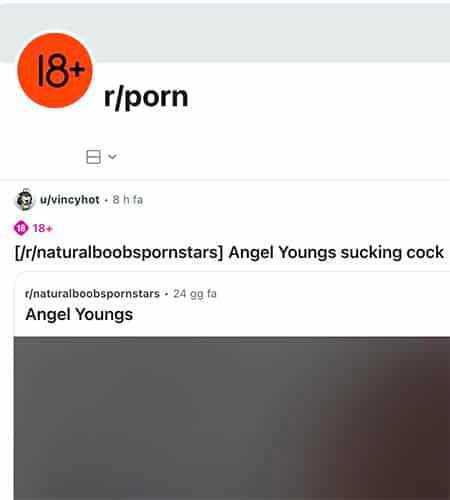 RedditPorn